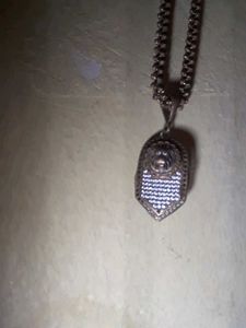 Chain And Tiger Locket