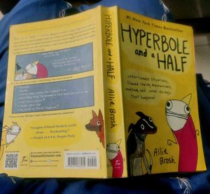 Hyperbole and a half