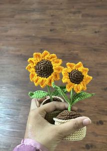 Crochet Sunflower Duo