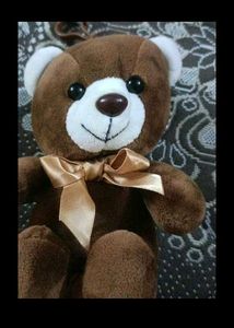 Teddy Cute and Premium