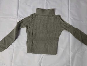Turtle Neck Woolen Top
