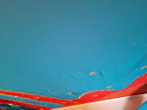 Orange Blue Embellished Heavily Lacha Saree Blouse