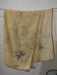 Saree (Pure Georgette)