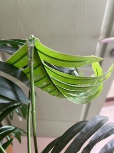 Artificial Plant