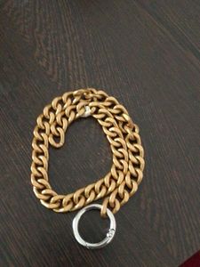 Gold Chain Accessory