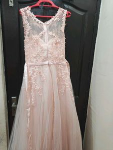 Elegant Light Pink Gown