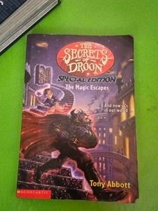 The Secrets of Droon: Special Edition