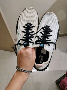 PUMA Women's White And Black Training Shoes