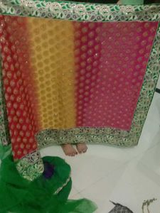 Embroidered Indian Outfit Saree
