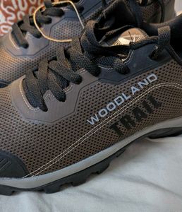 Trail Hiking Shoes