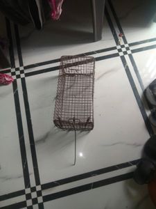 Rat Chatch  Net