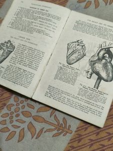 Human Physiology Book