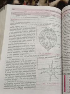 Companion Biology Class 11th Vol.1 &amp;2