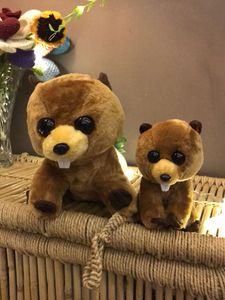 Cute Beaver Plush Set