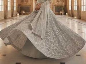 Elegant Silver Lehenga Choli Set