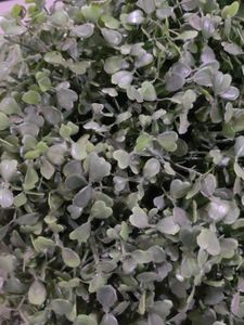 Artificial Green Plant