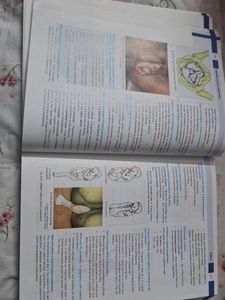 Bedside Clinics in Obstetrics