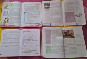 Class VIII Social Science Textbooks and Hindi Text