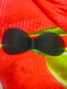 Women Solid Not Bra Only Paded