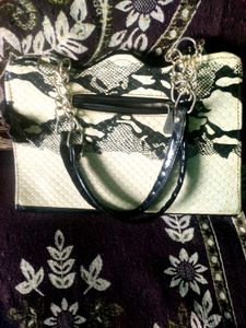 Vintage Snake Print Purse