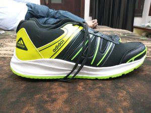 Adidas Sport Shoes (New)