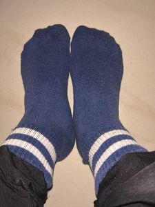Miniso Socks (Combo of 6)