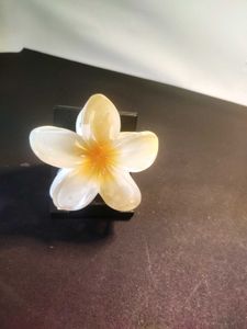 Trending Flower Clutcher