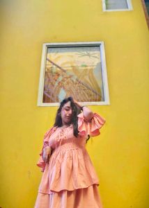 Stylish Pink Long Sleeve Dress