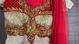 Elegant Anarkali Dress