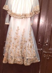 Elegant Ethnic Gown