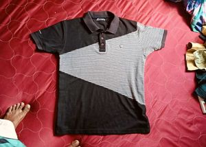 Striped Polo T-Shirt