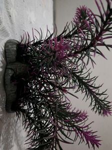 TABLE DECORATOR