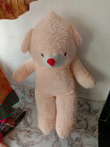 Cash 600 Teddy Bear Special For Valentine