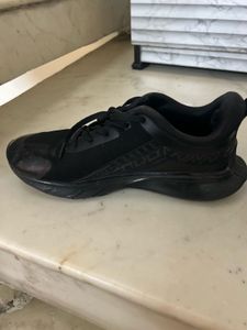 campus Black Sneakers