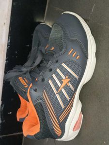 Sparx Campo Pixel-3 Running Shoes