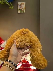 Cute Brown Teddy Bear