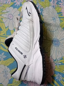 Birde Sport Shoes