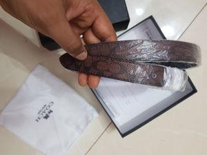 🇺🇸 Coach Imported Leather Belt