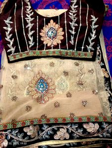 Elegant Saree with Velvet Blouse