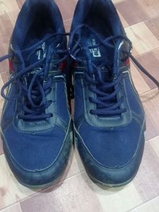 Mens Shoes