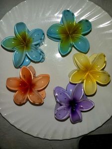 5-Flower Hair Clips