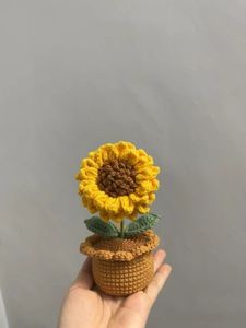Rainbow Crochet