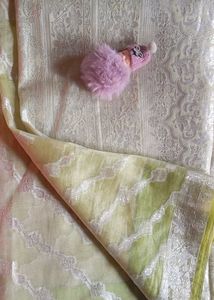 Elegant Light Green Sari with Silver Detail