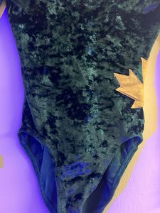 Velvet Bodysuit