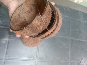 10 Coconut Shell