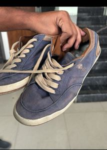 U.S. Polo Assn. Blue Canvas Shoes