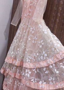 Elegant Ethnic Gown