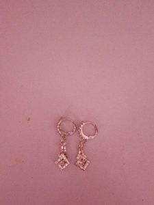 Elegant Dangle Earrings