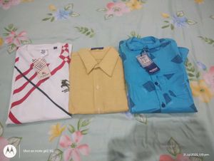 Combo Of 3 Shirt