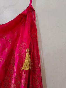 Pink With Golden Details Ethnic Skirt